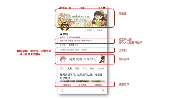 熊掌号认证指南,熊掌号如何认证及注意事项！