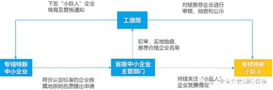国家级专精特新小巨人企业标准_专精特新小巨人企业评审_国家专精特新小巨人企业认定标准