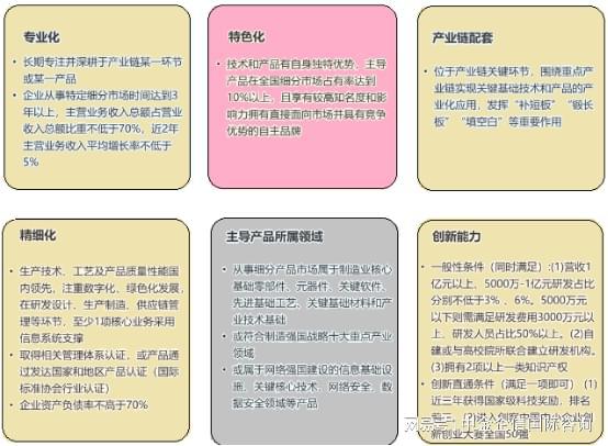 国家专精特新小巨人企业认定标准_国家级专精特新小巨人企业标准_专精特新小巨人企业评审