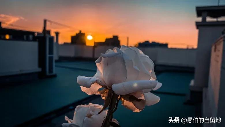 项目申报专员工作怎样_项目申报专员是做什么的_项目申报专员任职要求