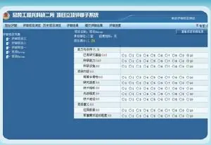 评审申报书项目怎么填_项目申报评审书_评审申报书项目有哪些